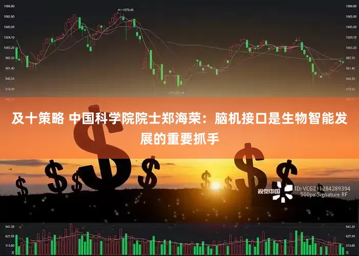 及十策略 中国科学院院士郑海荣：脑机接口是生物智能发展的重要抓手