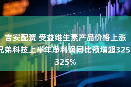 吉安配资 受益维生素产品价格上涨 兄弟科技上半年净利润同比预增超325%