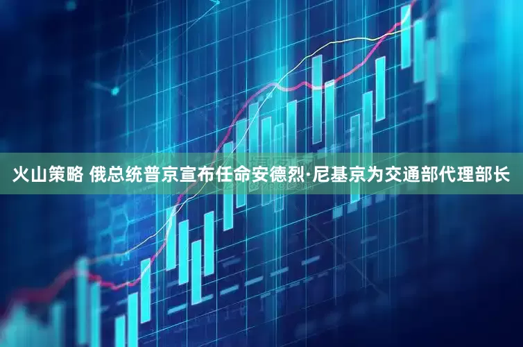火山策略 俄总统普京宣布任命安德烈·尼基京为交通部代理部长