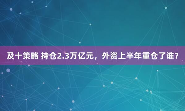 及十策略 持仓2.3万亿元，外资上半年重仓了谁？