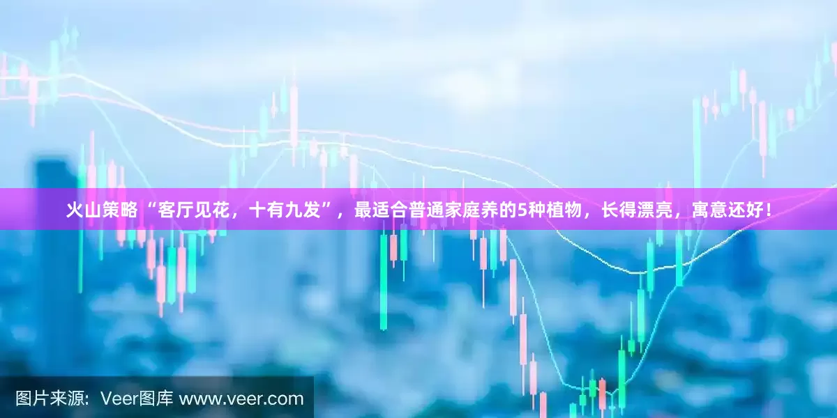 火山策略 “客厅见花，十有九发”，最适合普通家庭养的5种植物，长得漂亮，寓意还好！