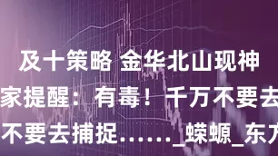 及十策略 金华北山现神秘生物，专家提醒：有毒！千万不要去捕捉……_蝾螈_东方_俊鹏