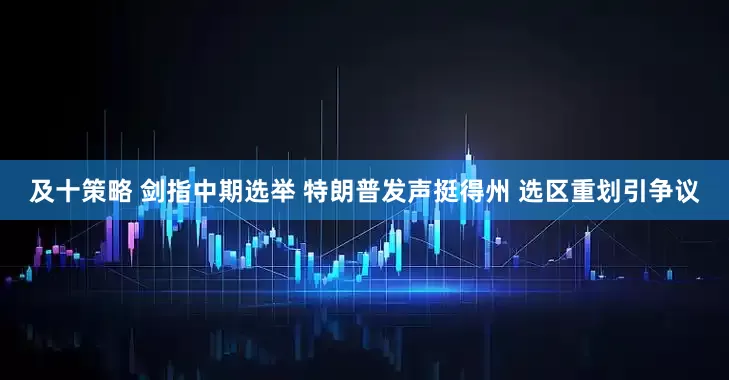 及十策略 剑指中期选举 特朗普发声挺得州 选区重划引争议